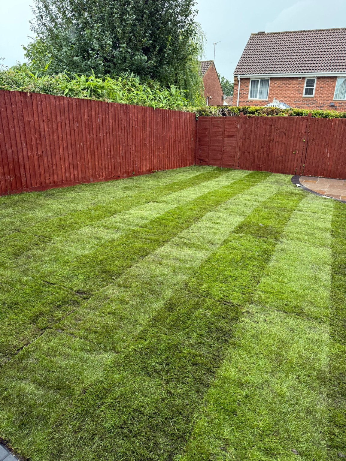 Newly laid lawn across the raised Bristol garden with the patio at the rear