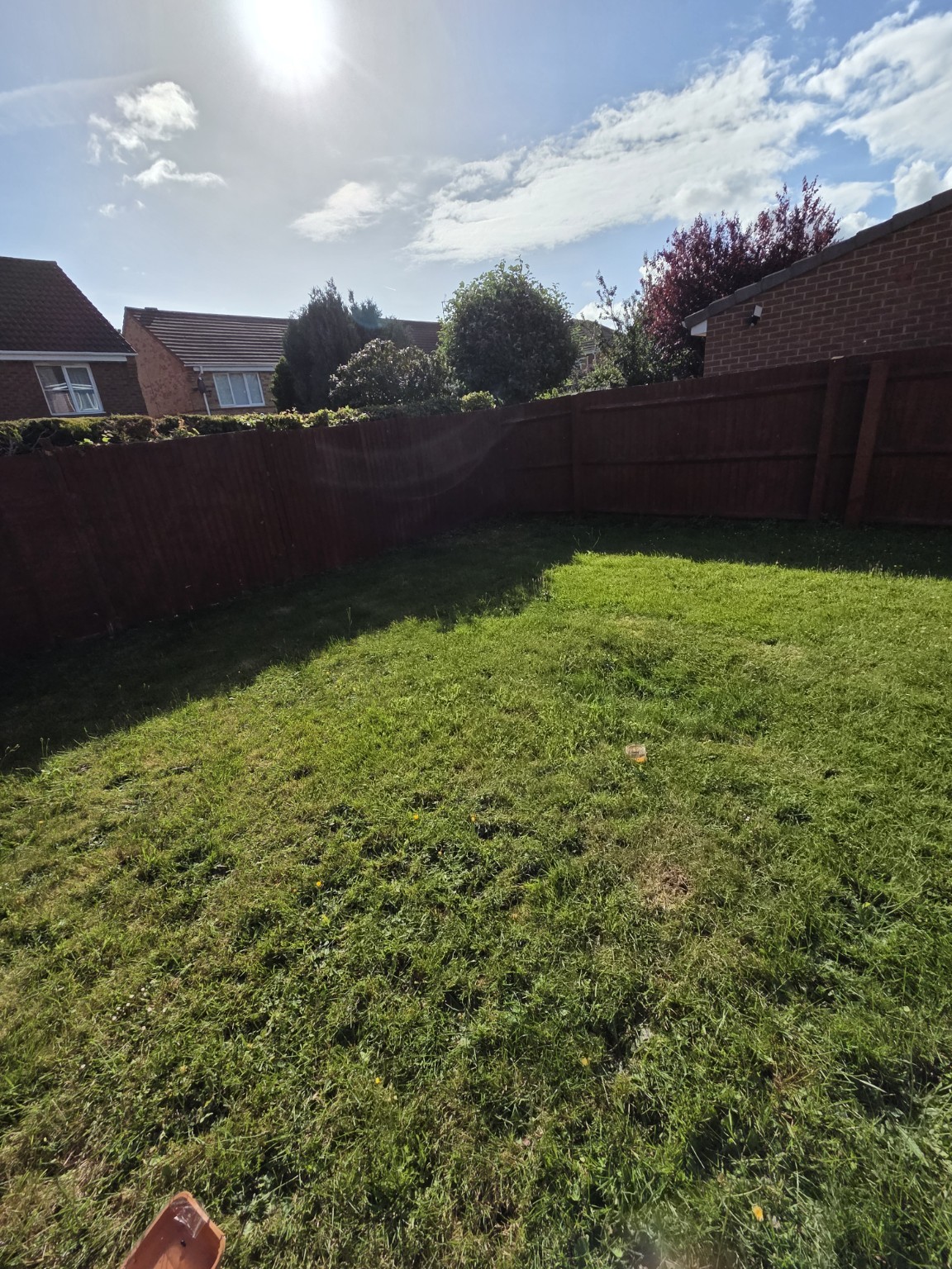 Original lawn in the rear corner of the fenced Bristol garden