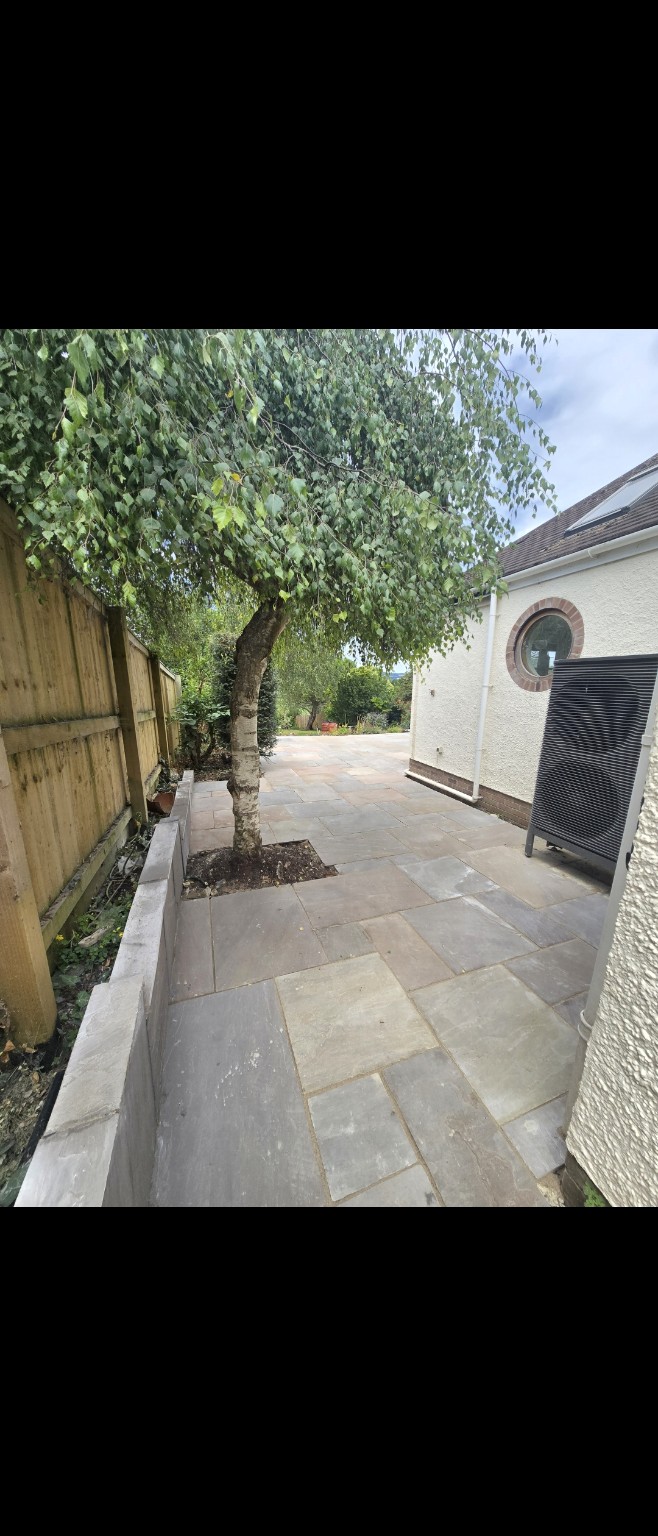 New Indian sandstone paving around the retained tree beside the house in Taunton