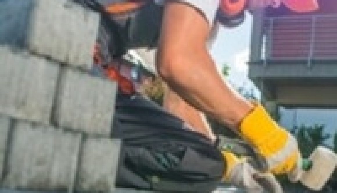 Webp.net-resizeimage241